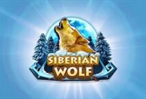 Slot machine Siberian Wolf di red-rake-gaming