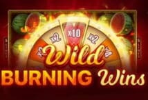 Slot machine Wild Burning Wins: 5 di playson