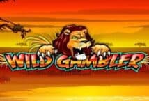 Slot machine Wild Gambler di playtech