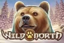 Slot machine Wild North di playn-go