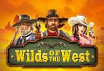 Slot machine Wilds of the West di relax-gaming