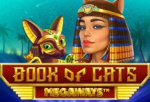 Slot machine Book of Cats Megaways di bgaming