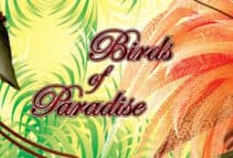 Slot machine Birds of Paradise di wgs-technology