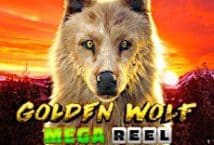 Slot machine Golden Wolf di saucify