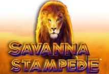 Slot machine Savanna Stampede di reel-time-gaming