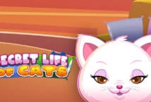 Slot machine Secret Life of Cats di arrows-edge